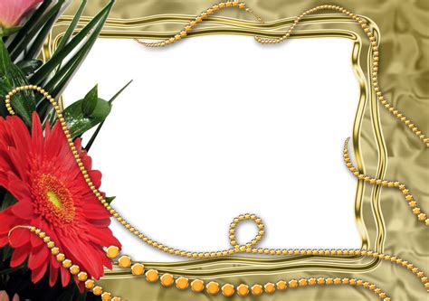 download png images|1,000+ Free Png & Frame Images to Download .